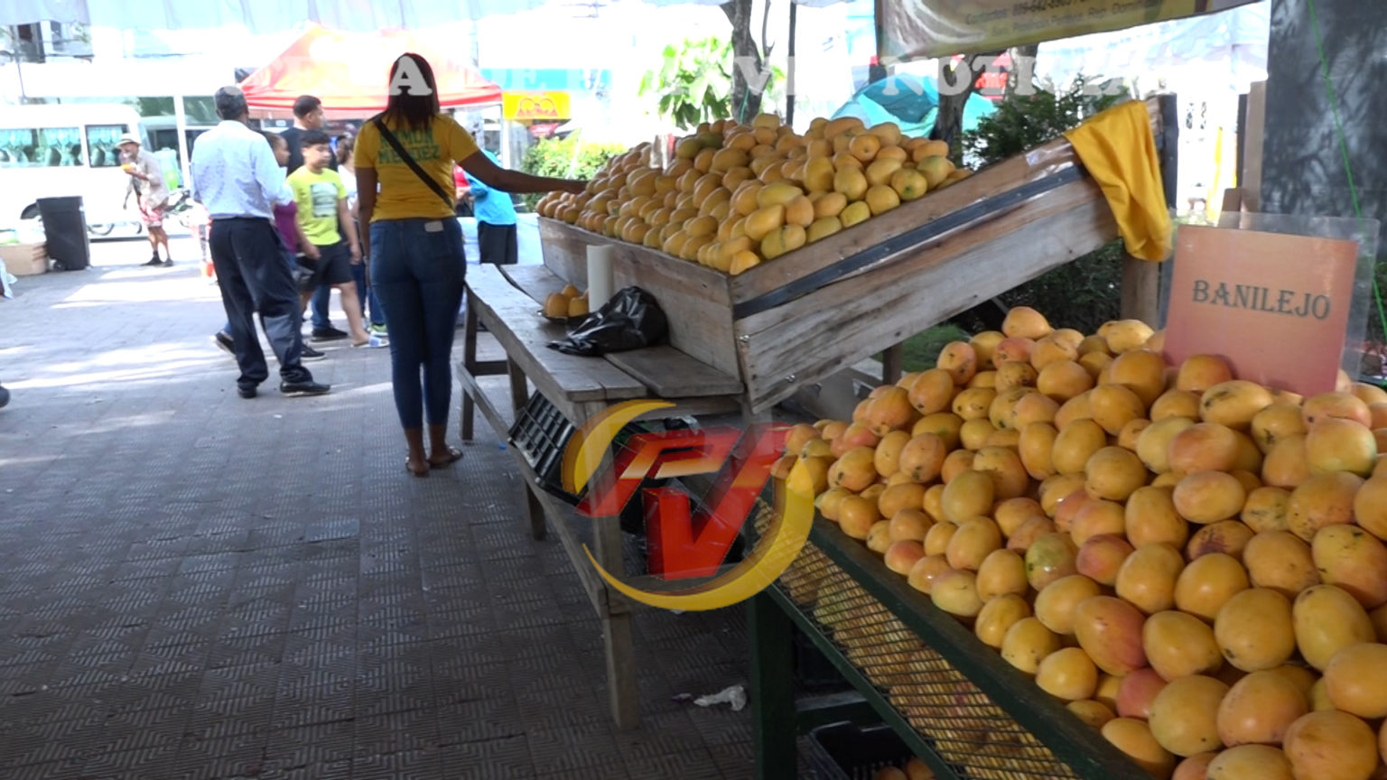 Feria Del Mango Aparenta Ser Un Xito Trebol Cable