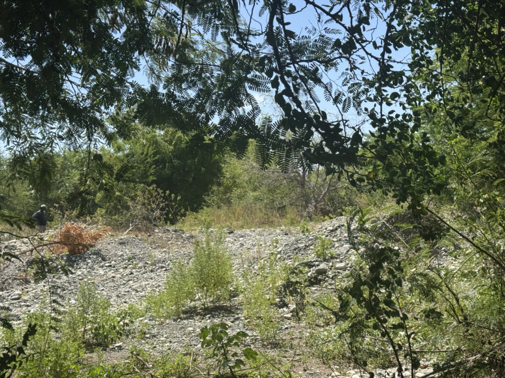 Tramo del río Nizao con amplias áreas del cauce cubiertas de piedras y vegetación.
